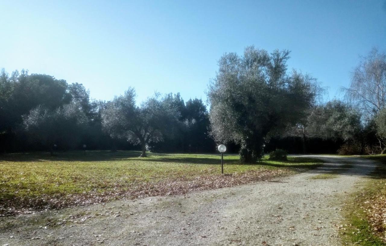 A Casa Di Asia Viterbo Buitenkant foto